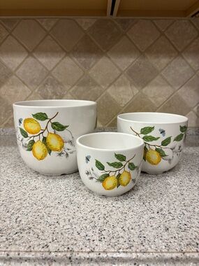 Ceramic Lemon Planter Set - Yellow & Green